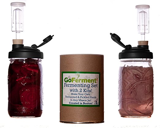 Go Ferment! Wide Mouth Mason Jar Mold Free Anaerobic Fermenting Kit w/ Recipe E-book (2 Pack, Black)