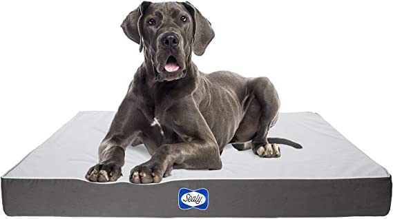 Sealy Dog Bed Defender Series, IPX5 Certified Indoor/Outdoor Dog Bed, XL Grey (94611)