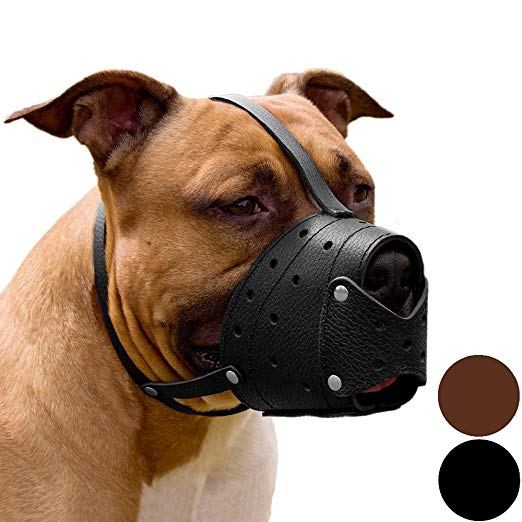 CollarDirect Pit Bull PitBull Terrier Secure Basket Dog Muzzle Genuine Leather Staffordshire Terrier