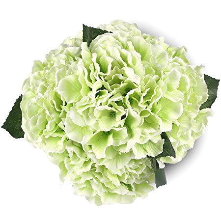 Soledi Artificial Silk Fake 5 Heads Beautiful Flower Bunch Bouquet Home  Decor Hydrangea (Green)