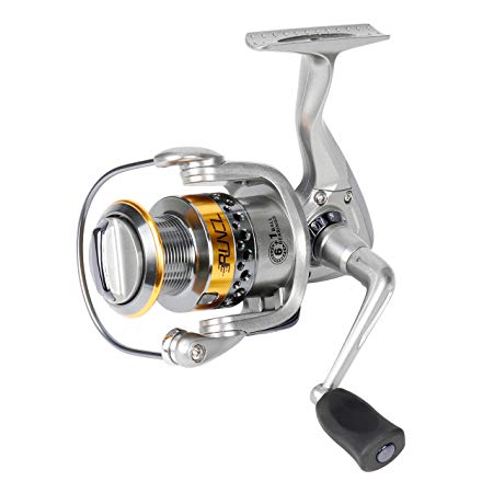 RUNCL Spinning Reel KEEN II, Fishing Reel 2000-4000 Series 6 1 Stainless Steel Sealed Ball Bearings 5.1:1/5.2:1/5.5:1 Gear Ratio Left/Right Interchangeable Handle for Freshwater Saltwater Boat Fishing