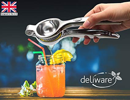 Lemon Squeezer Juice Press - Heavy Duty - Hand Fruit Juice Extractor Lime Citrus Fruit Juicer with Free HERB Stripping Tool