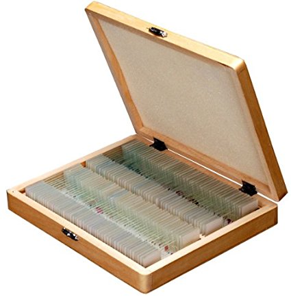 AmScope PS100A Prepared Microscope Slide Set for Basic Biological Science Education, 100 Slides, Set A, Includes Fitted Wooden Case