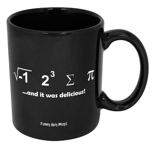 Funny Guy Mugs I Ate Some Pi And It Was Delicious Ceramic Coffee Mug, Black, 11-Ounce
