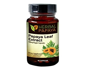 Papaya Leaf Extract 600mg, (10:1 Extract Strength) - 60 Veggie Capsules