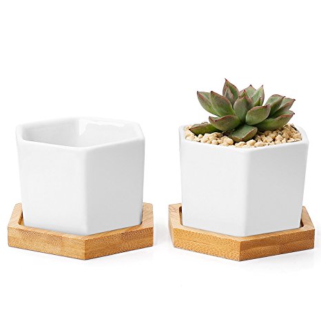 Greenaholics Succulent Plant Pots - 2.76 Inch Ceramic Planters for Small Plant, Seed Nurture, with Drainage Hole, Bamboo Trays, Set of 2, White