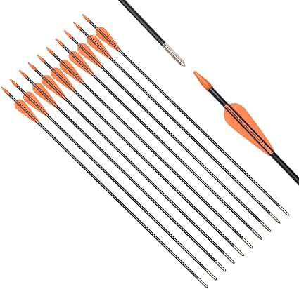 6875 Fiberglass Arrows Archery 24/26/28/30 Inch Target Shooting Safetyglass Recurve Bows Suitable for Youth Children Woman Beginner 6 or 12pcs/Pack (tigerspot Orange Vanes)