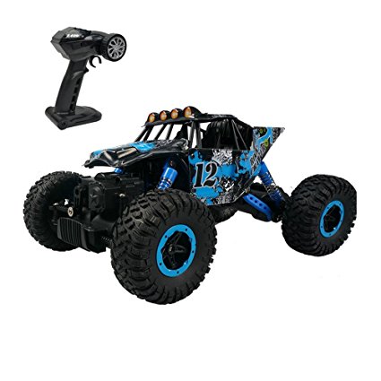 Rabing 1/16 Scale RC Car Newest High-speed Remote Control Car 4WD Radio Controlled Electric Vehicle Off-Road Rock Crawler