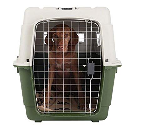 Quality Plastic Transport Crate - Perfect for Travelling by Train or Car (Size 6 - 90 x 60 x 68 cm)