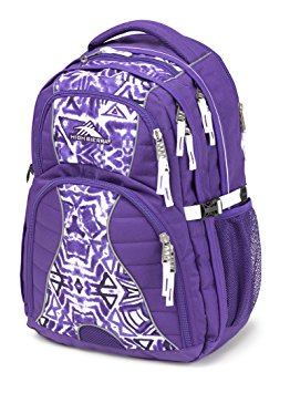 High Sierra Swerve Backpack