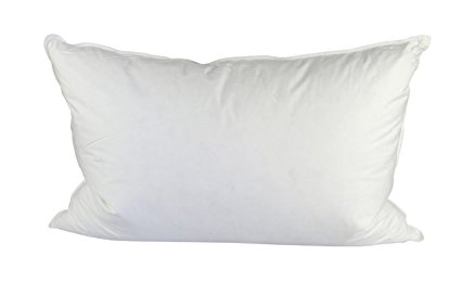 Pillowtex ® 75% White Duck Feather/ 25% White Duck Down Standard Pillow