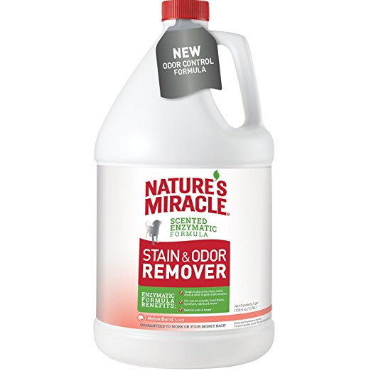 Nature's Miracle Melon Burst Stain and Odor Remover Gallon