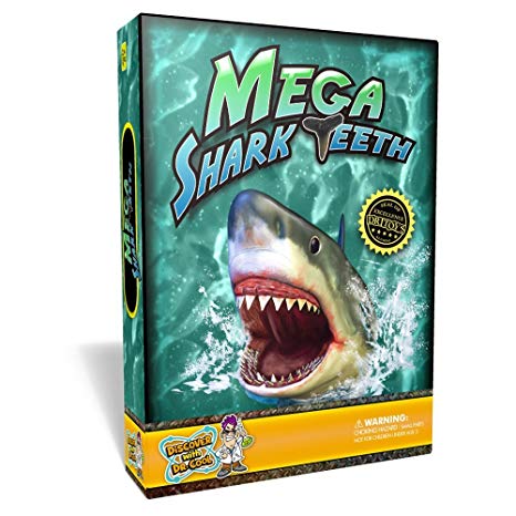 Discover with Dr. Cool Mega Shark Teeth Fossil Science Kit – Includes 5 Genuine fossilized Shark Teeth and a Large Replica Megalodon Tooth