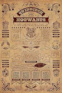 Harry Potter - Movie Poster/Print (Quidditch at Hogwarts) (Size: 24 inches x 36 inches)