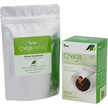 Sayan Siberian Wild harvested Chaga Mushroom Extract Powder and Chaga Tea - Antioxidant, Caffeine Free 4 Oz Package   20 Tea Bags