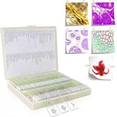 100 Pcs Microscope Slides with Specimens for Kids Student Homeschool, Prepared Microscope Slides for Biology Science Education