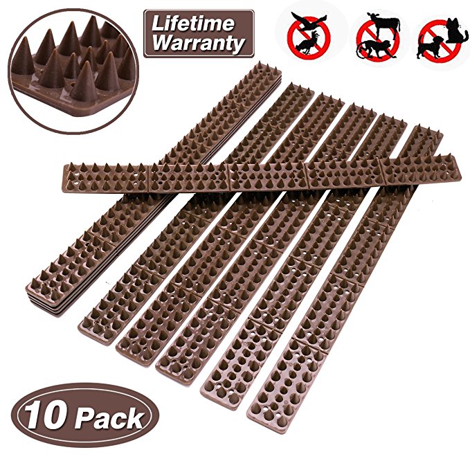 Bird Spikes for Pigeons Small Birds Critters - 16 Feet Bird Repellent Spikes Plastic Bird Deterrent Spikes Anti Bird Spikes Strips-Idea for Fences Walls Railings Sheds Roof(10 Strips)