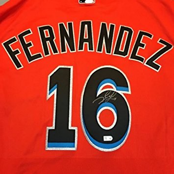 Beautiful Jose Fernandez Signed MLB Authenticated Miami Marlins Jersey