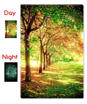 Startonight Trees of Life and Nature Dual View Framed Canvas Wall Art, 31.5-Inch-by-47.2-Inch