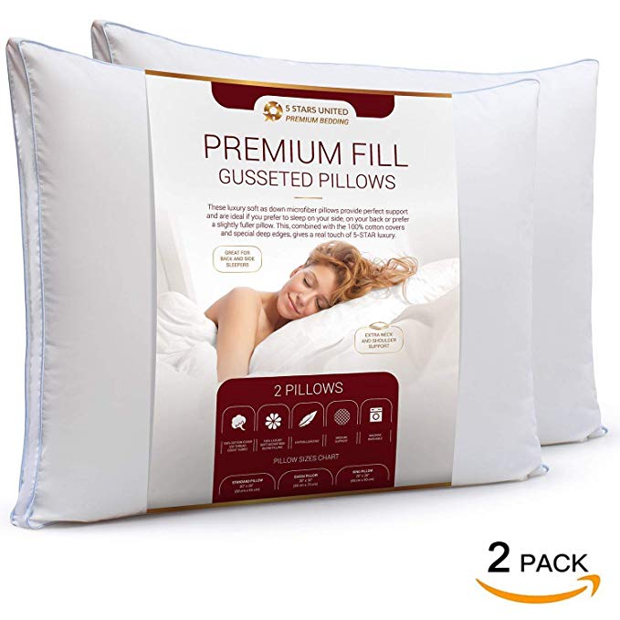 Queen Size Bed Pillows for Sleeping - 20x30, 2-Pack - Gusseted Edge - Mid Loft - Soft Fiber Fill - Hypoallergenic - Cotton Covers - Best Alternative to Feather and Down Bedding - Fit Standard Cases b