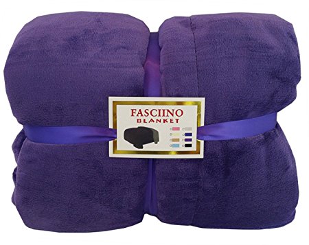 FASCIINO Super Soft Plush Velour Mink Borrego Blanket Throw Queen or Full Size Bed (Royal Purple)