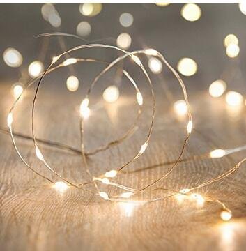 LED Fairy String Lights,ANJAYLIA 10Ft/3M 30leds Firefly String Lights Garden Home Party Festival Decorations Crafting Battery Operated Lights(Warm White)