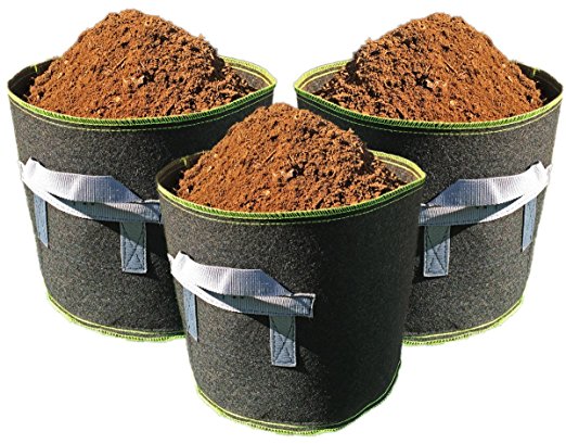 Dirt Bag Grow Bags, 4 Gallon Fabric Container (Pack of 3, Black Green Trim)