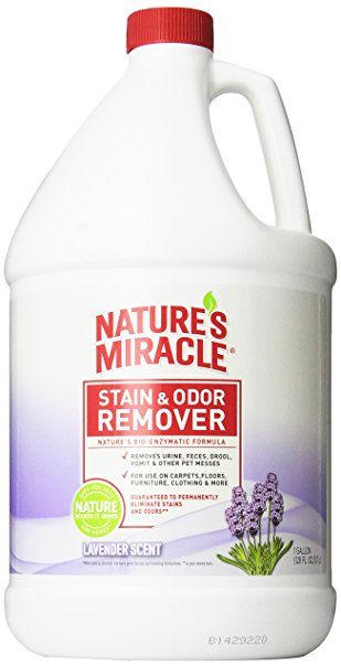 Nature's Miracle Stain & Odor Remover