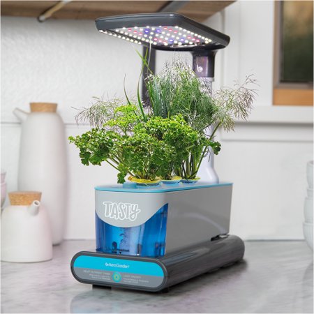 Tasty Sprout by AeroGarden with Ranch Seed kit (Multiple Kit Options Available)