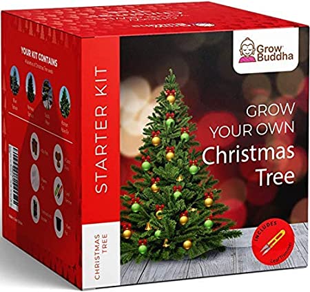 Grow Your Own Christmas Tree – Grow 4 Different Types of Christmas Tree at Home – Beginner Friendly Tree Growing Starter Kit with Complete Instructions - Unique Christmas Gift Set Kit