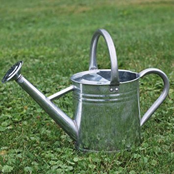 Gardener's Select AW3005PG Watering Can, Galvanized, 7 L