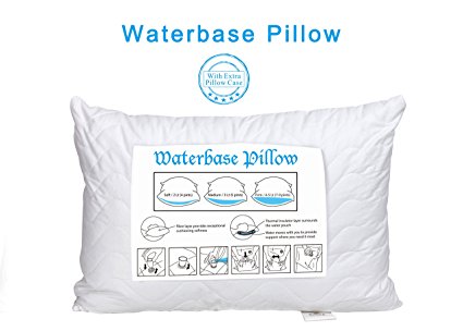 Queen/Standard One Pack: Waterbase Pillow, with an Extra Quilted Pillowcase, Hypo-Allergenic with 1-year Warranty. Premium Hotel Quality by The Duck And Goose Co