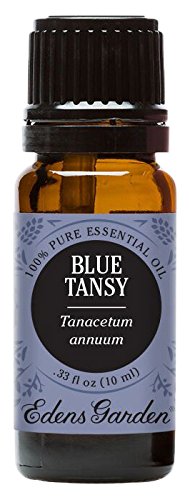 Edens Garden Blue Tansy 10 ml 100% Pure Undiluted Therapeutic Grade Essential Oil GC/MS Tested