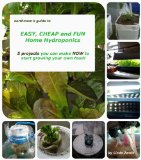 earthmoms Guide to EASY CHEAP and FUN Home Hydroponics 5 projects you can make NOW  to get started growing your own food