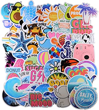 65 pcs hydroflask Stickers for Water Bottles,Cute Funny Waterproof Vinyl Stickers Decals for Kids,Teens and Girls,Unique Durable Aesthetic Trendy Sticker Perfect for Hydro Flask,Laptop,Computer