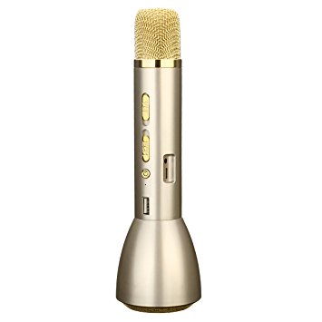 ELEGIANT Portable Karaoke Player w/ Wireless Bluetooth Speaker for Singing and Playing Music for iPhone iPad Samsung HTC and Other Smartphone, Gold