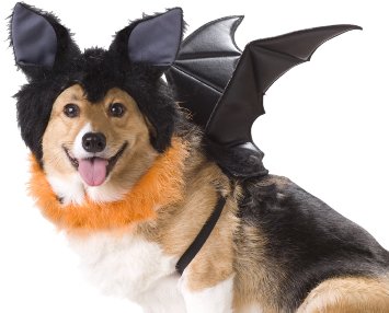 Animal Planet PET20103 Bat Dog Costume