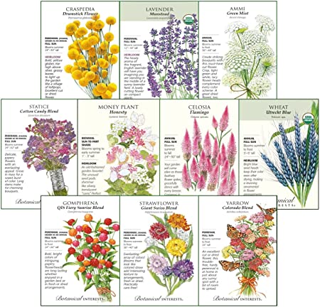 Botanical Interests "Cut Flowers" Seed Collection II, for Fresh and Dried Flower Arrangements - 10 Packets with Recyclable Colored Box