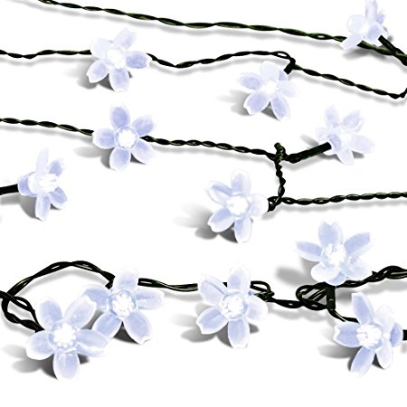 Solar Christmas String Lights,easyDecor 50 LED Flower 23ft White 8Mode Waterproof Decorative Blossom Light for Thanksgiving,Outdoor,Indoor,Party,Wedding,Patio,Garden,Holiday Decoration,Xmas,Bistro