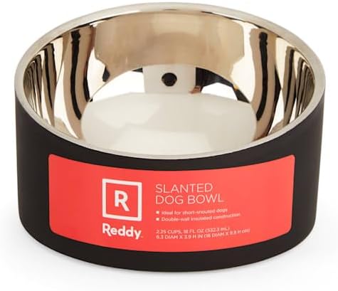 Reddy Slanted Stainless-Steel Slanted Dog Bowl, 2.25 Cups