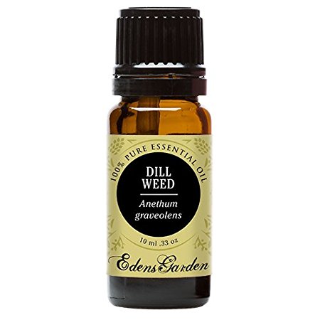 Dill Weed 100% Pure Therapeutic Grade Essential Oil by Edens Garden- 10 ml