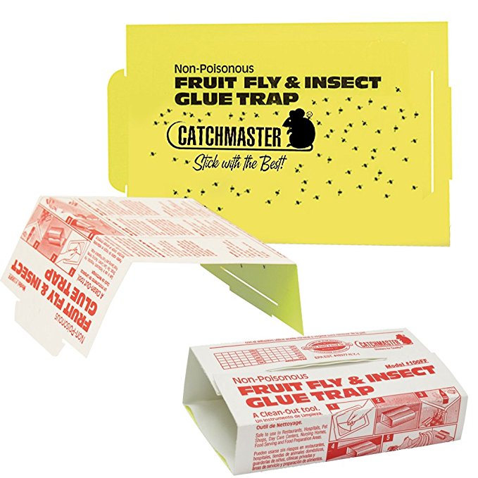 Catchmaster Banana Scented Fruit Fly Glue Traps (10 Traps) 667656