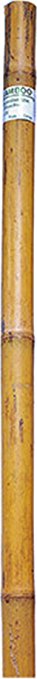 (Natural) Super Bamboo Pole (Qty: 10) - Size: 8 Ft X 1.5 In