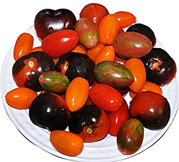 Please Read! This is A Mix!!! 30  Cherry Tomato Mix Seeds 10 Varieties Heirloom Non-GMO, Black, Lucky Tiger, Yellow Red Pear, from USA