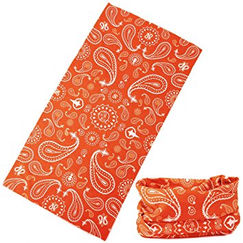 12-in-1 Headwear [Paisley] - Versatile Outdoors Headwear - Works as Face Mask, Neck Gaiter, Motorcycle Headband, Bandana, Balaclava, Helmet Liner. Moisture Wicking Microfiber for Riding, Cycling.