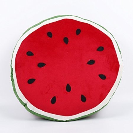 Kaylee and Ryan 157 Cute Watermelon Pillow For Kid