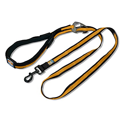 Kurgo 6-in-1 Quantum (TM) Hands Free Dog Leash for Walking, Running or Hiking & Reflective Dog Leash with Adjustable Waist Belt