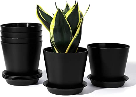 Succulent Plant Pot - POTEY 5.5 Inch Plastic Pots with Drainage Hole and Trays for Indoor Plants - 002S, Black, Set of 6