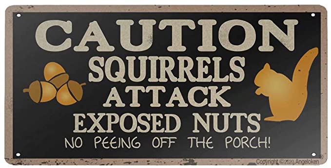 Angeloken Retro Metal Sign Vintage Caution Squirrels Attack Sign for Plaque Poster Cafe Wall Art Sign Gift 12 X 6 INCH