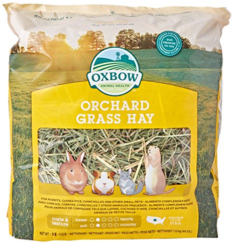 Oxbow Animal Health Orchard Grass Hay for Pets, 40-Ounce